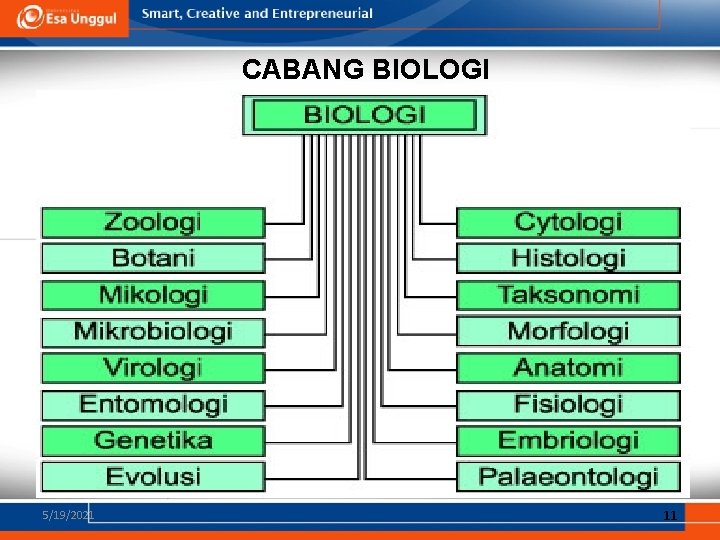 CABANG BIOLOGI 5/19/2021 11 