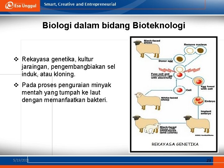 Biologi dalam bidang Bioteknologi v Rekayasa genetika, kultur jaraingan, pengembangbiakan sel induk, atau kloning.