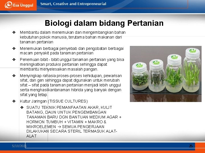 Biologi dalam bidang Pertanian v Membantu dalam menemukan dan mengembangkan bahan kebutuhan pokok manusia,