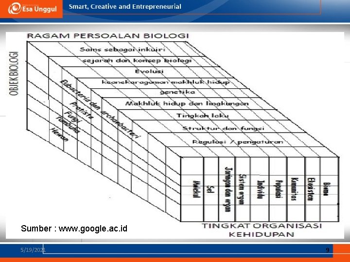 Sumber : www. google. ac. id 5/19/2021 9 