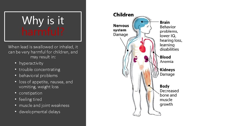 Why is it harmful? When lead is swallowed or inhaled, it can be very