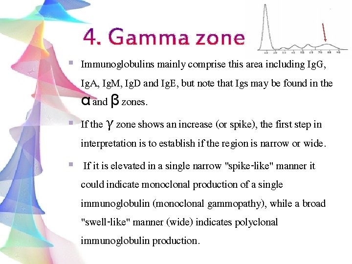 Immunoglobulins mainly comprise this area including Ig. G, Ig. A, Ig. M, Ig. D