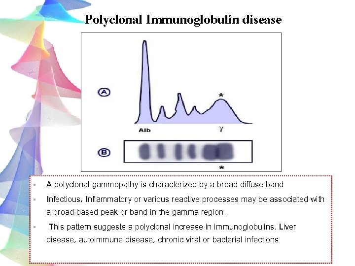 Polyclonal Immunoglobulin disease § A polyclonal gammopathy is characterized by a broad diffuse band