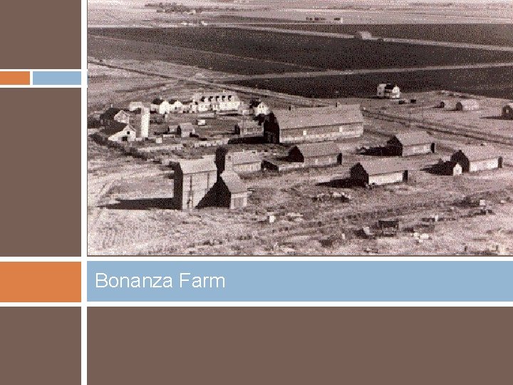 Bonanza Farm 