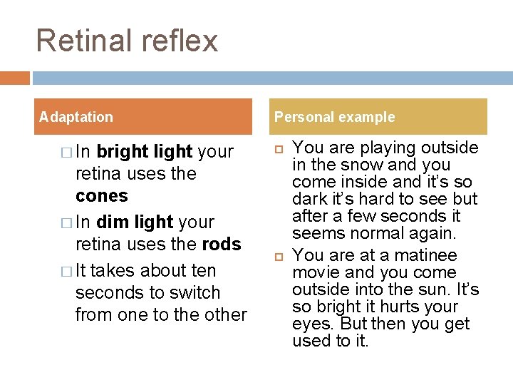 Retinal reflex Adaptation � In bright light your retina uses the cones � In