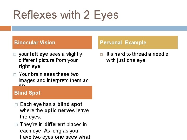 Reflexes with 2 Eyes Binocular Vision your left eye sees a slightly different picture