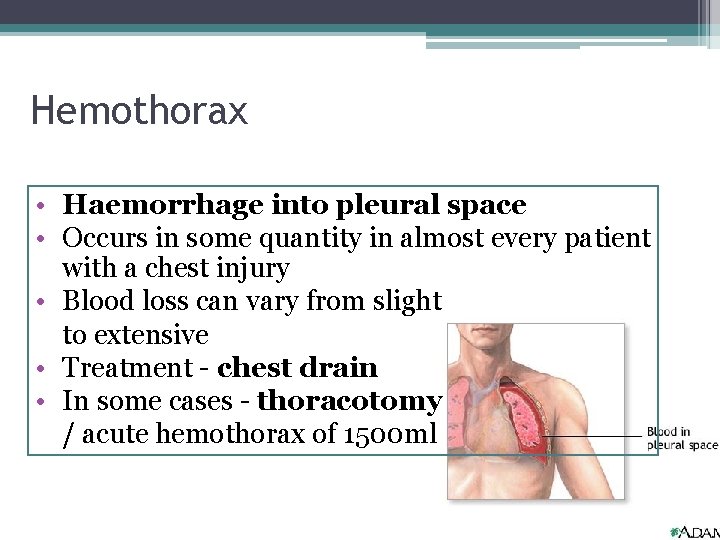 Hemothorax • Haemorrhage into pleural space • Occurs in some quantity in almost every