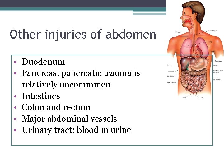 Other injuries of abdomen • Duodenum • Pancreas: pancreatic trauma is relatively uncommmen •