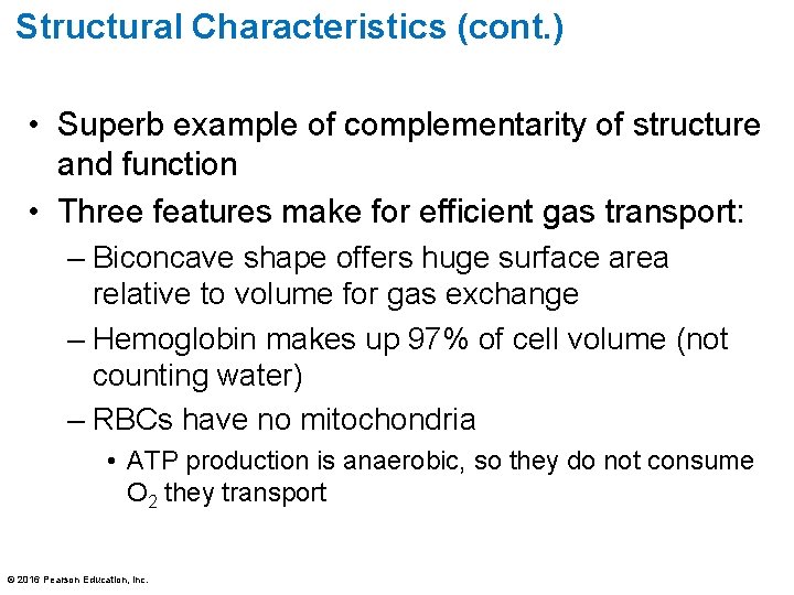 Structural Characteristics (cont. ) • Superb example of complementarity of structure and function •