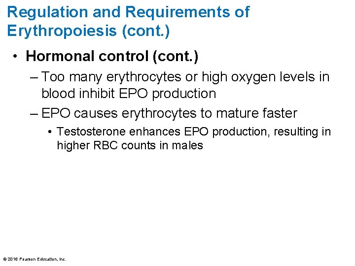 Regulation and Requirements of Erythropoiesis (cont. ) • Hormonal control (cont. ) – Too