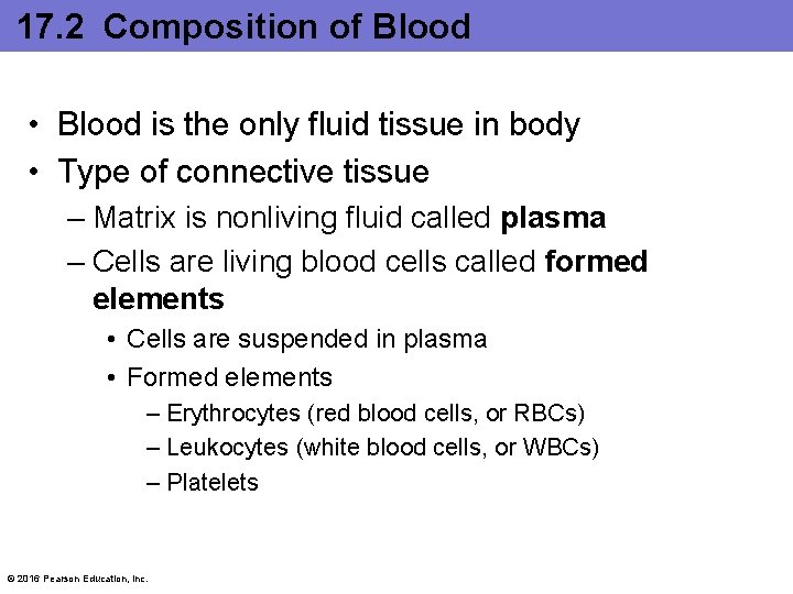 17. 2 Composition of Blood • Blood is the only fluid tissue in body