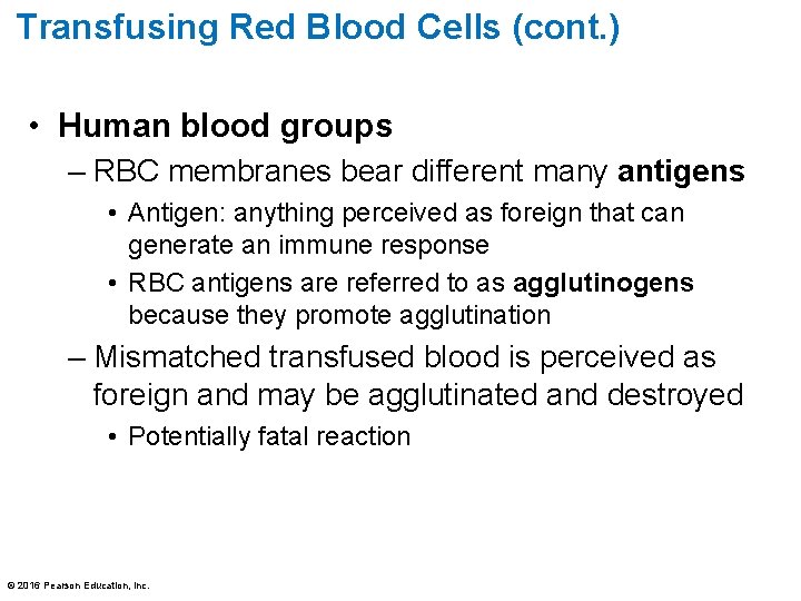 Transfusing Red Blood Cells (cont. ) • Human blood groups – RBC membranes bear