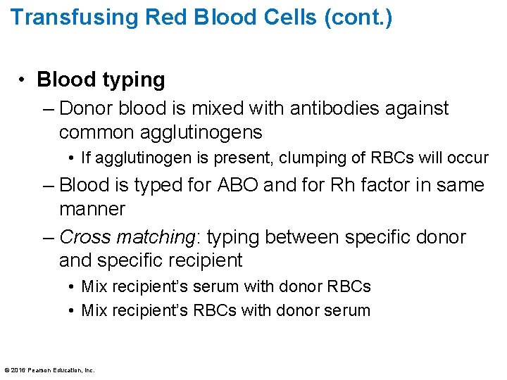 Transfusing Red Blood Cells (cont. ) • Blood typing – Donor blood is mixed
