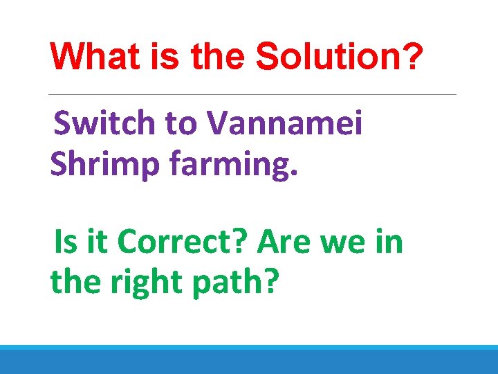 What is the Solution? Switch to Vannamei Shrimp farming. Is it Correct? Are we