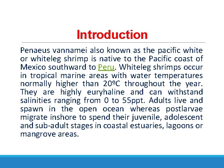 Introduction Penaeus vannamei also known as the pacific white or whiteleg shrimp is native