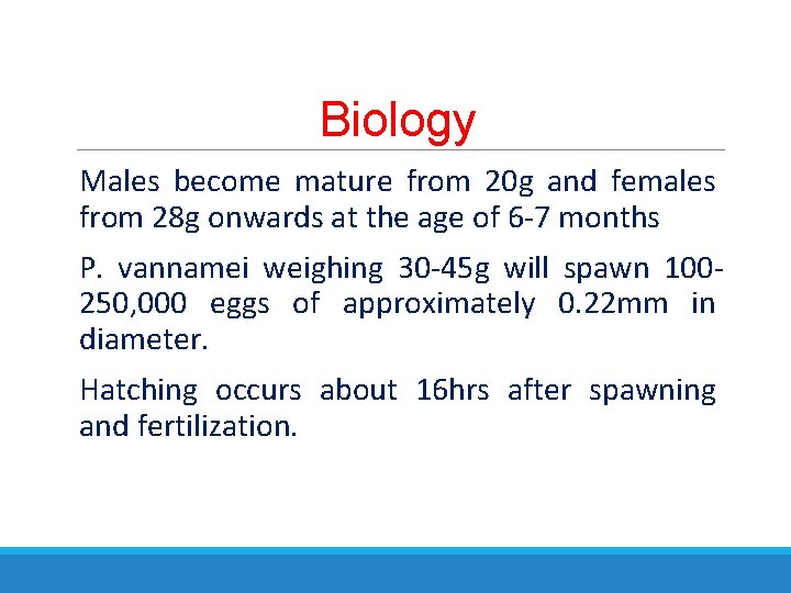 Biology Males become mature from 20 g and females from 28 g onwards at