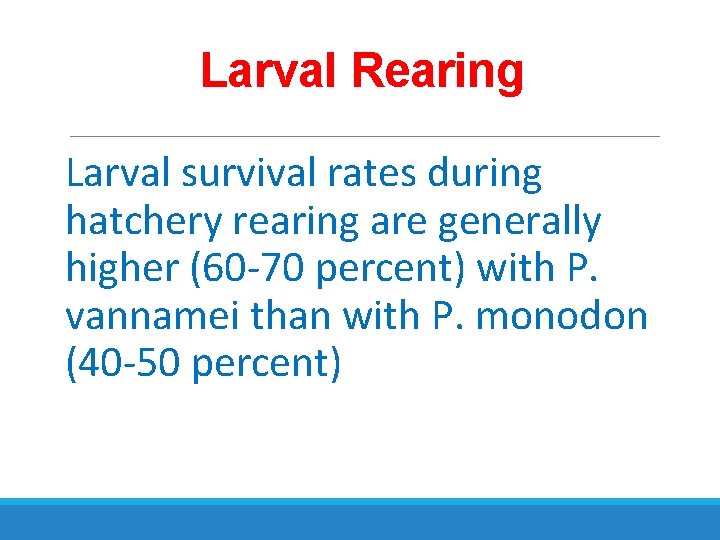Larval Rearing Larval survival rates during hatchery rearing are generally higher (60 -70 percent)