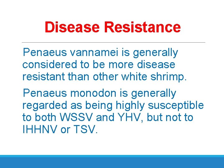 Disease Resistance Penaeus vannamei is generally considered to be more disease resistant than other