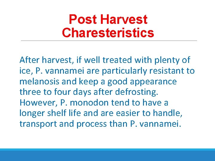 Post Harvest Charesteristics After harvest, if well treated with plenty of ice, P. vannamei