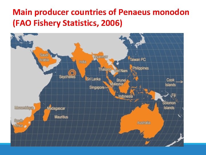 Main producer countries of Penaeus monodon (FAO Fishery Statistics, 2006) 