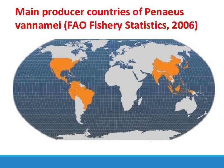 Main producer countries of Penaeus vannamei (FAO Fishery Statistics, 2006) 