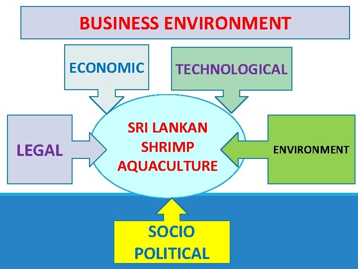 BUSINESS ENVIRONMENT ECONOMIC LEGAL TECHNOLOGICAL SRI LANKAN SHRIMP AQUACULTURE SOCIO POLITICAL ENVIRONMENT 