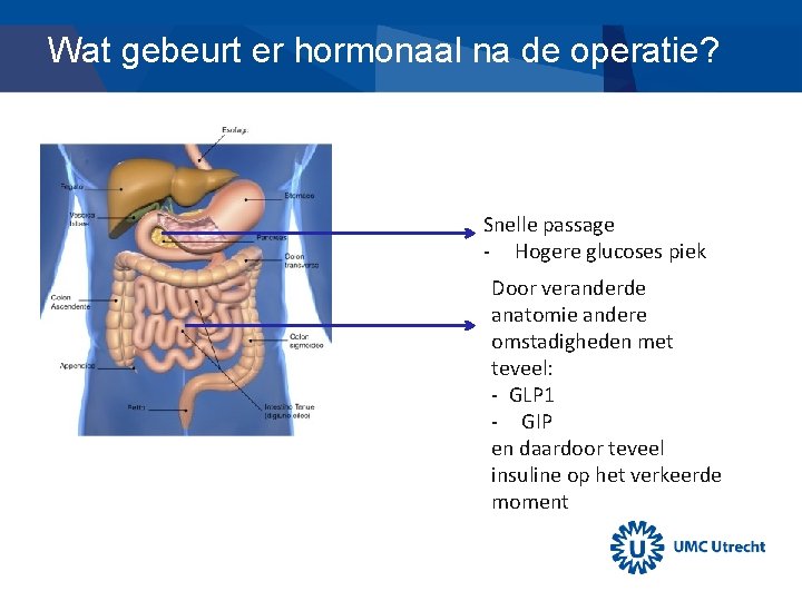 Wat gebeurt er hormonaal na de operatie? Snelle passage - Hogere glucoses piek Door