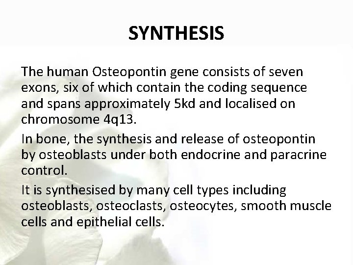 SYNTHESIS The human Osteopontin gene consists of seven exons, six of which contain the