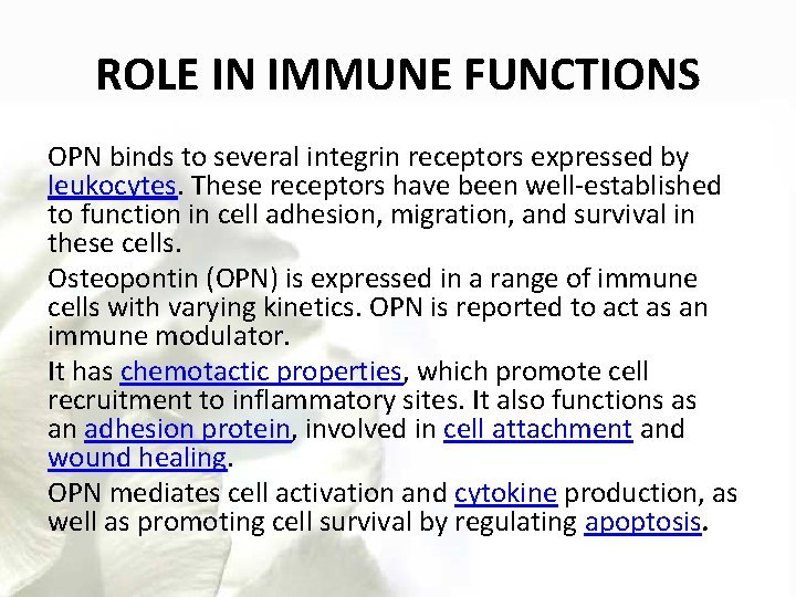 ROLE IN IMMUNE FUNCTIONS OPN binds to several integrin receptors expressed by leukocytes. These