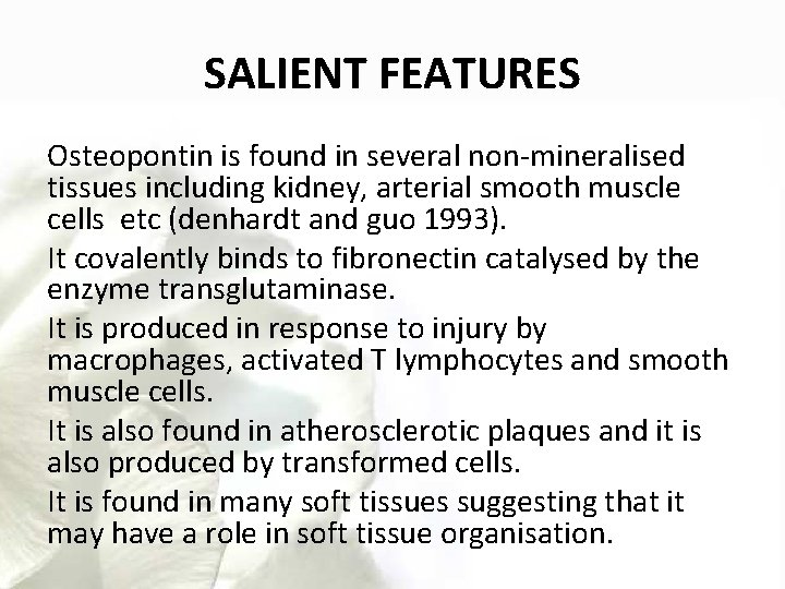 SALIENT FEATURES Osteopontin is found in several non-mineralised tissues including kidney, arterial smooth muscle