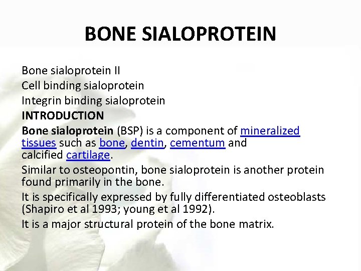 BONE SIALOPROTEIN Bone sialoprotein II Cell binding sialoprotein Integrin binding sialoprotein INTRODUCTION Bone sialoprotein