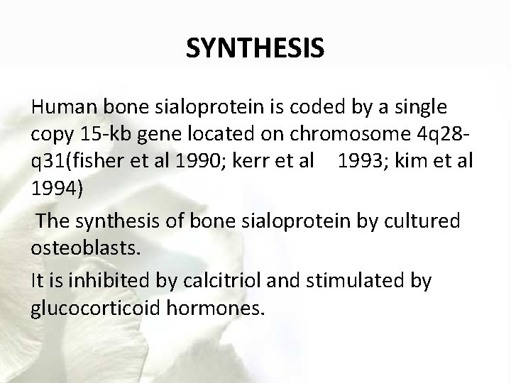 SYNTHESIS Human bone sialoprotein is coded by a single copy 15 -kb gene located