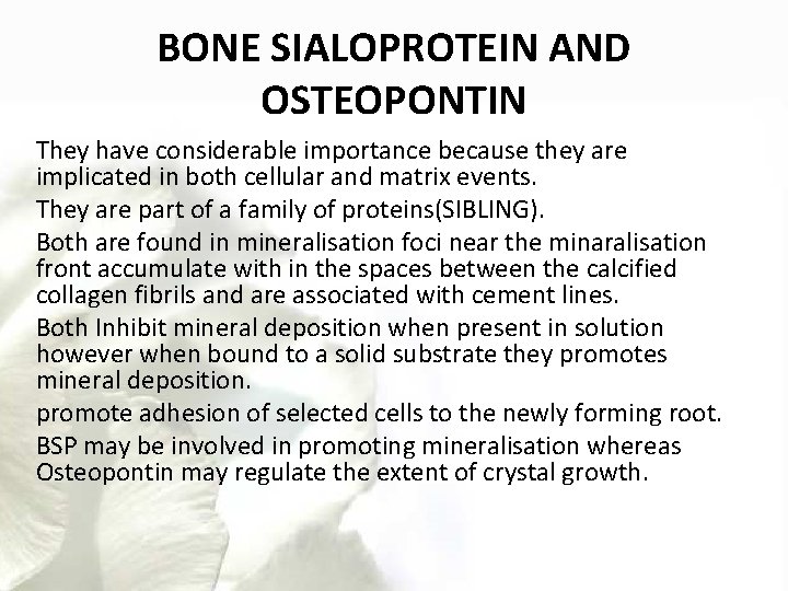 BONE SIALOPROTEIN AND OSTEOPONTIN They have considerable importance because they are implicated in both