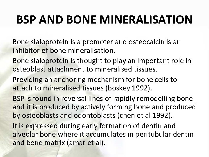 BSP AND BONE MINERALISATION Bone sialoprotein is a promoter and osteocalcin is an inhibitor