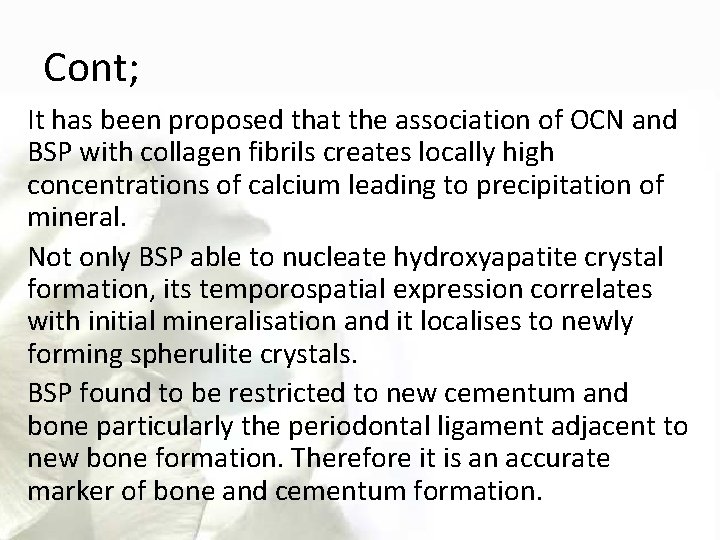 Cont; It has been proposed that the association of OCN and BSP with collagen
