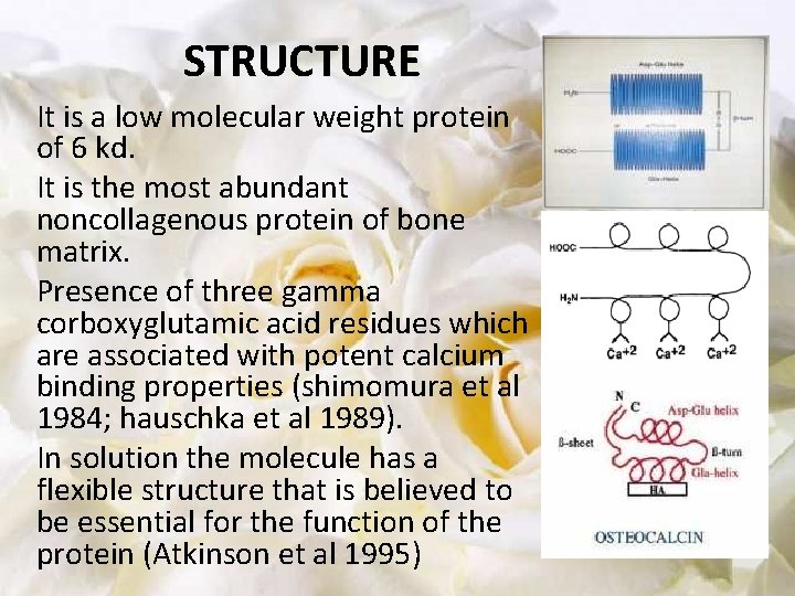 STRUCTURE It is a low molecular weight protein of 6 kd. It is the