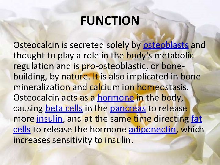 FUNCTION Osteocalcin is secreted solely by osteoblasts and thought to play a role in