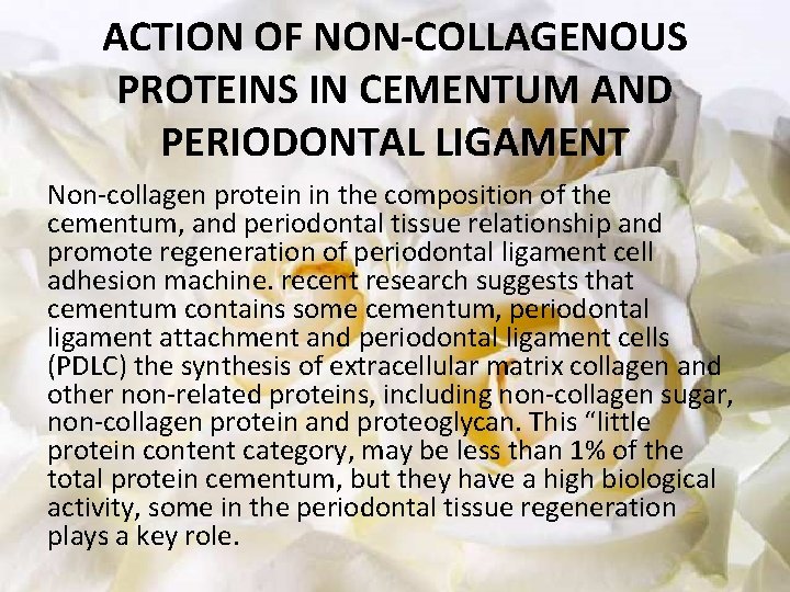 ACTION OF NON-COLLAGENOUS PROTEINS IN CEMENTUM AND PERIODONTAL LIGAMENT Non-collagen protein in the composition