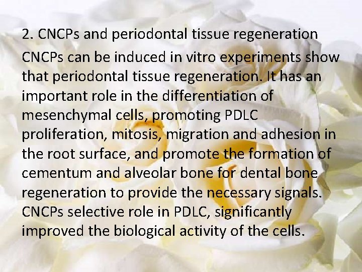 2. CNCPs and periodontal tissue regeneration CNCPs can be induced in vitro experiments show