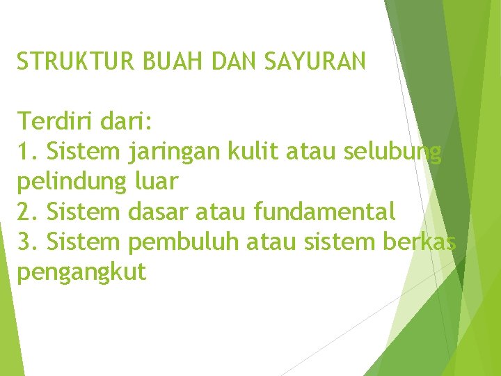 STRUKTUR BUAH DAN SAYURAN Terdiri dari: 1. Sistem jaringan kulit atau selubung pelindung luar