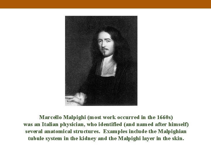 Marcello Malpighi (most work occurred in the 1660 s) was an Italian physician, who