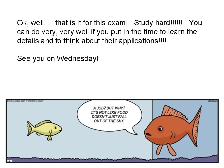 Ok, well…. that is it for this exam! Study hard!!!!!! You can do very,