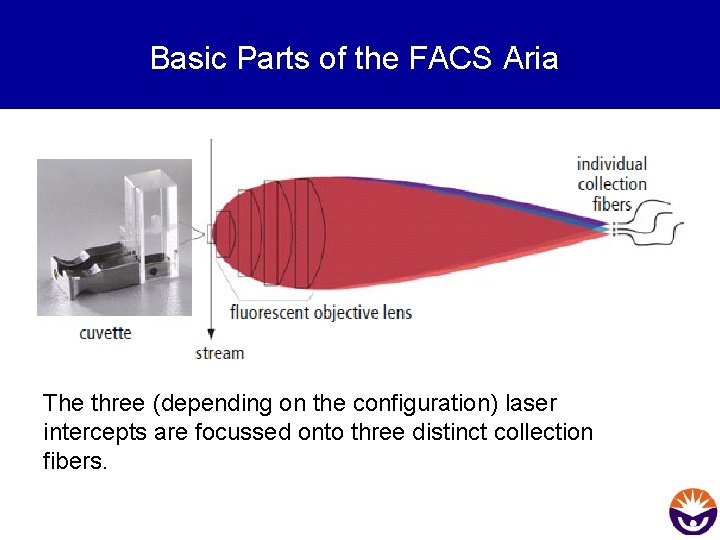 Basic Parts of the FACS Aria The three (depending on the configuration) laser intercepts
