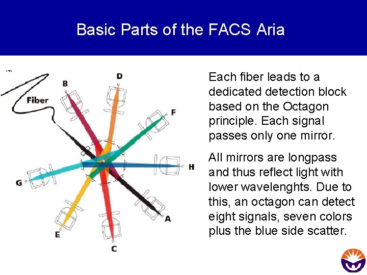 Basic Parts of the FACS Aria Each fiber leads to a dedicated detection block