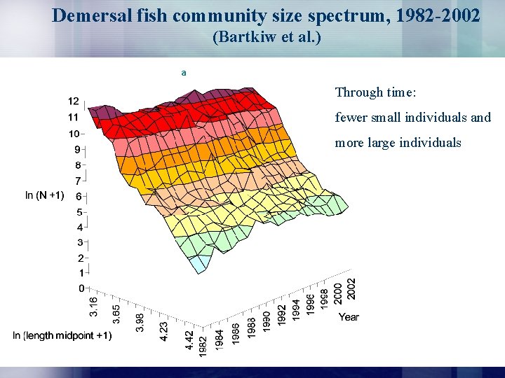 Demersal fish community size spectrum, 1982 -2002 (Bartkiw et al. ) a Through time: