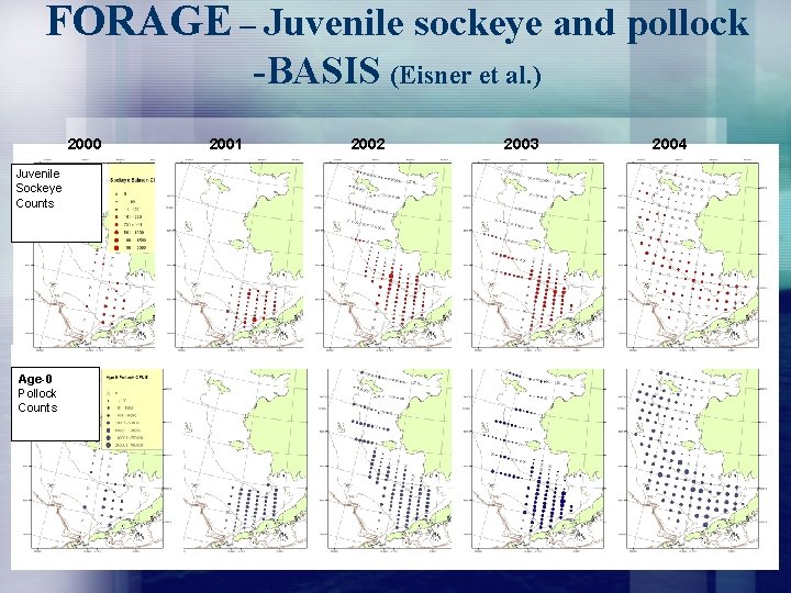 FORAGE – Juvenile sockeye and pollock -BASIS (Eisner et al. ) 2000 Juvenile Sockeye