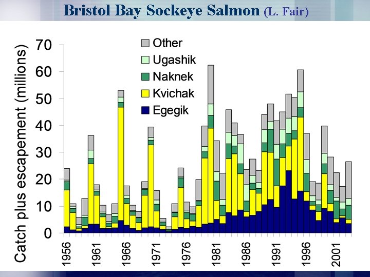 Bristol Bay Sockeye Salmon (L. Fair) 
