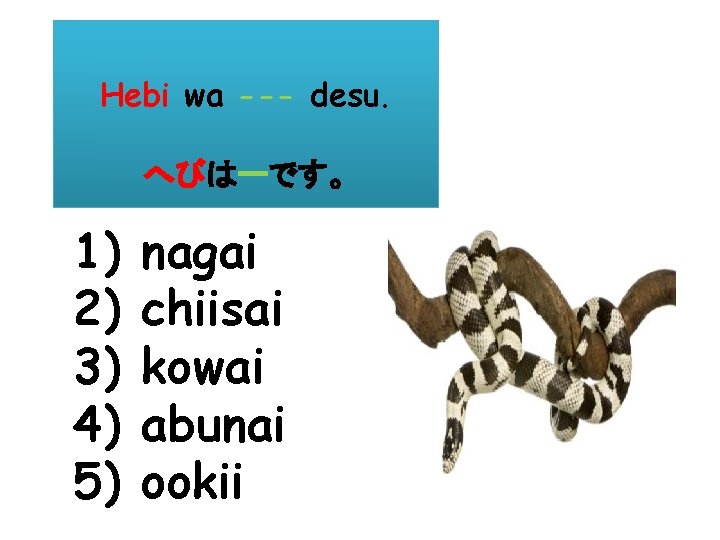 Hebi wa --- desu. へびはーです。 1) 2) 3) 4) 5) nagai chiisai kowai abunai