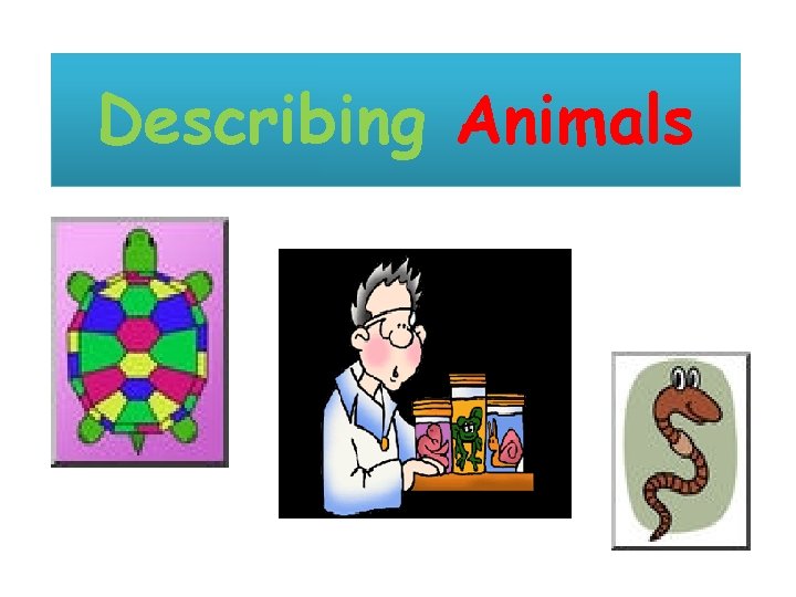 Describing Animals 