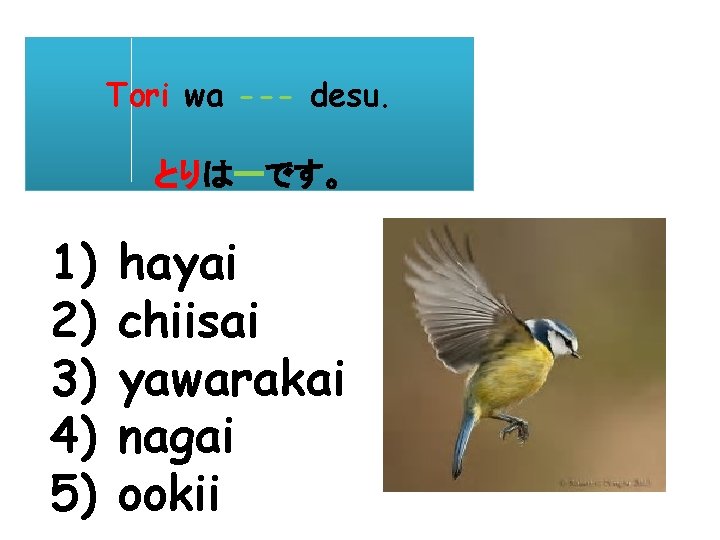 Tori wa --- desu. とりはーです。 1) 2) 3) 4) 5) hayai chiisai yawarakai nagai